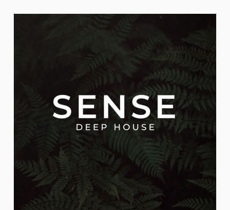 Zenhiser Sense Deep House WAV